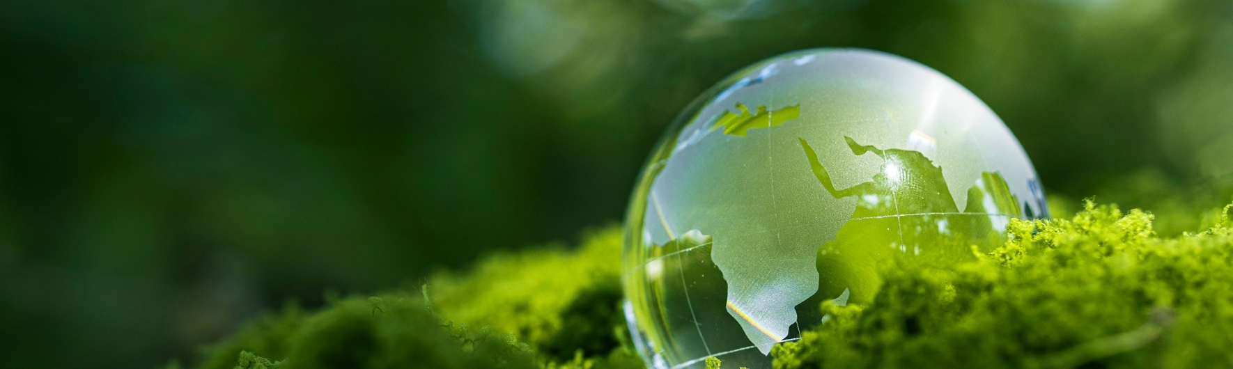 Partner on the road to a zero-emission industry