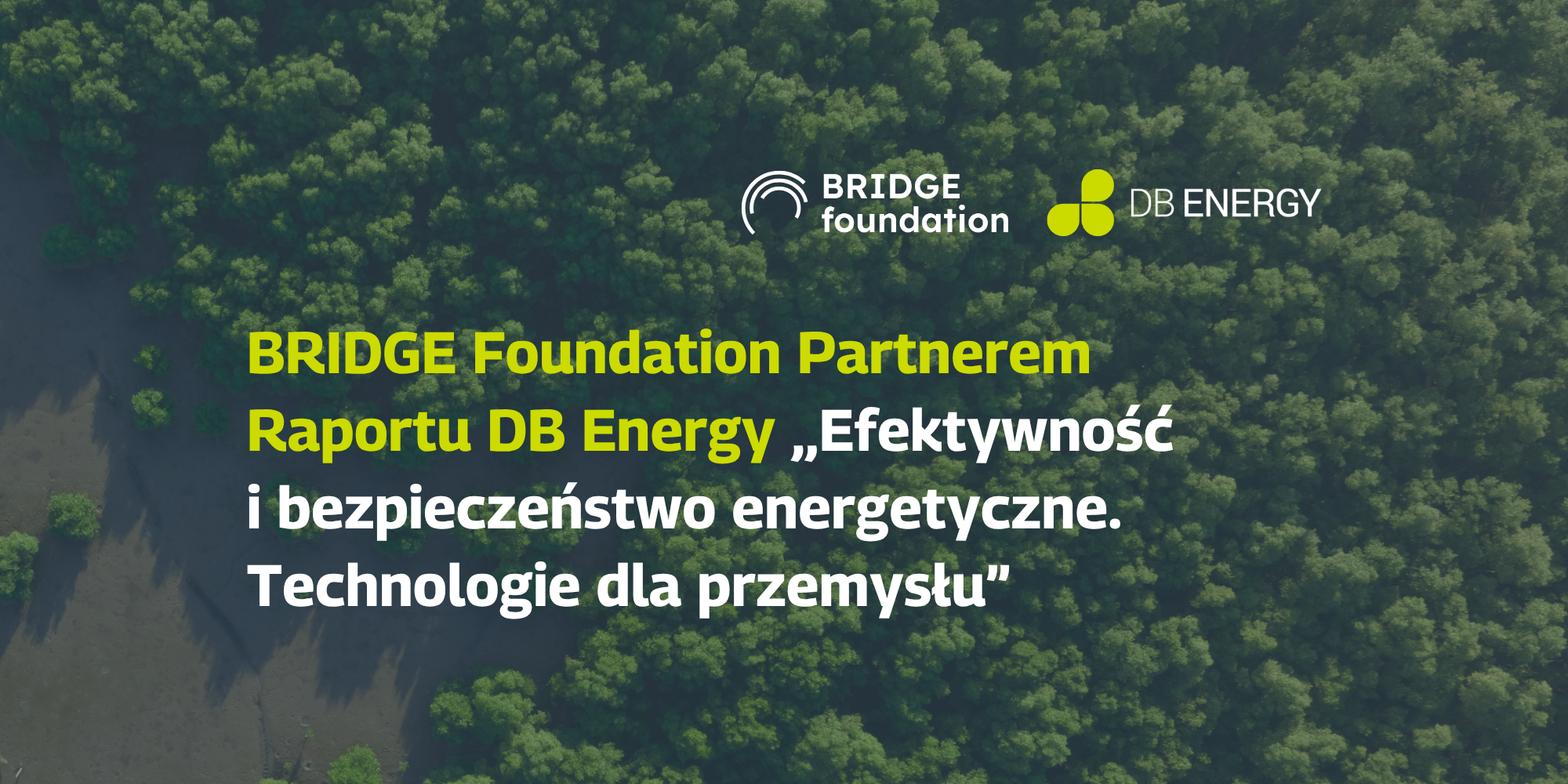 Bridge Foundation as a partner of the DB Energy report “Energy efficiency and energy security. Technologies for Industry”