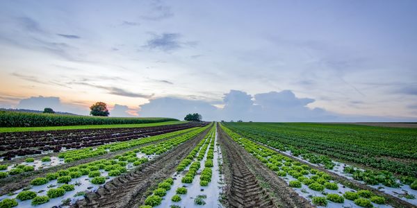 ecovadis dla firmy przemysłowej