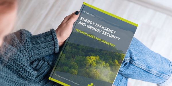 energy efficiency and energy security report