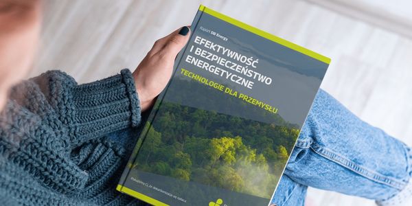 okładka raportu efektywność i bezpieczeństwo energetyczne